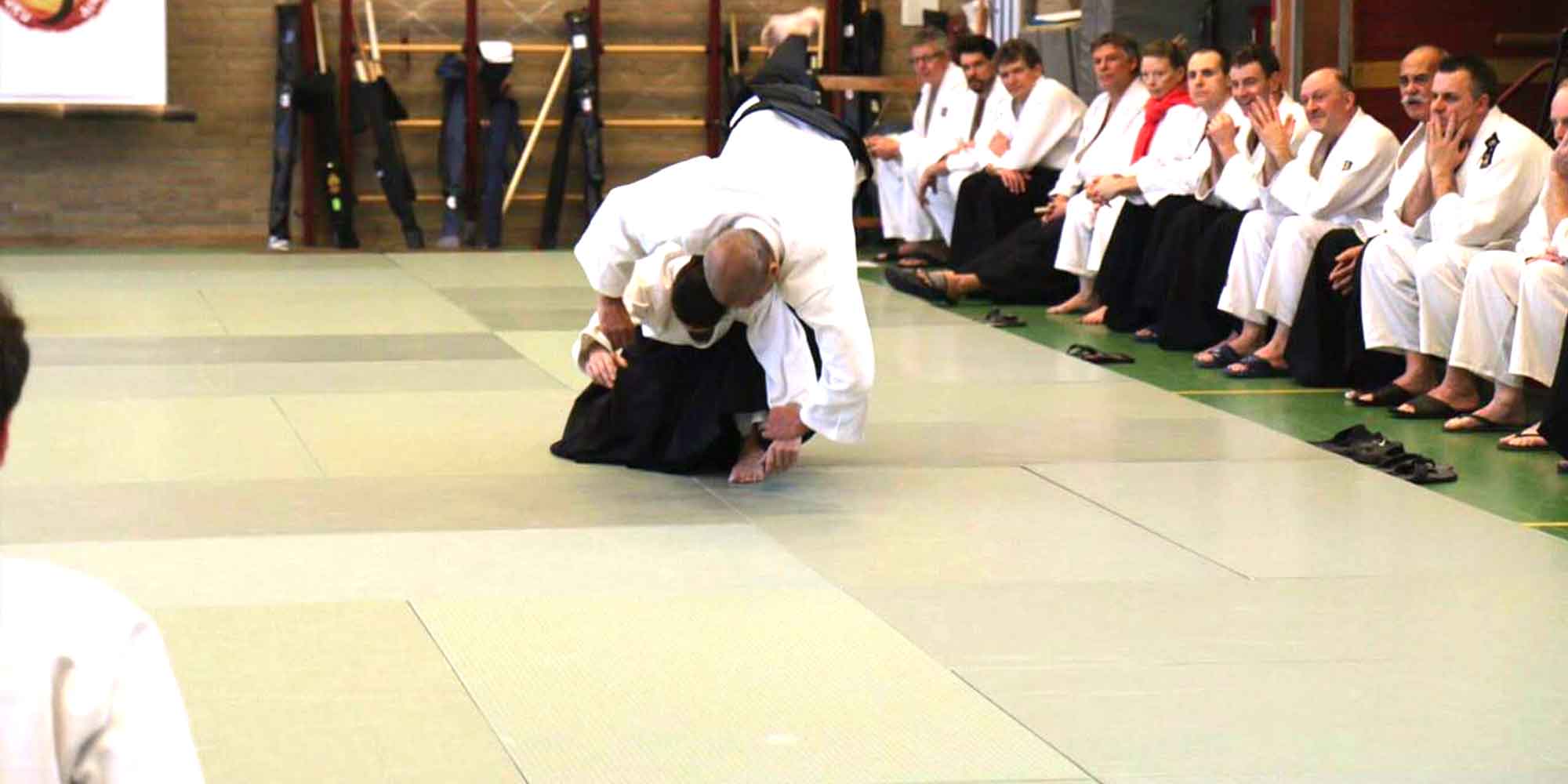 aikido