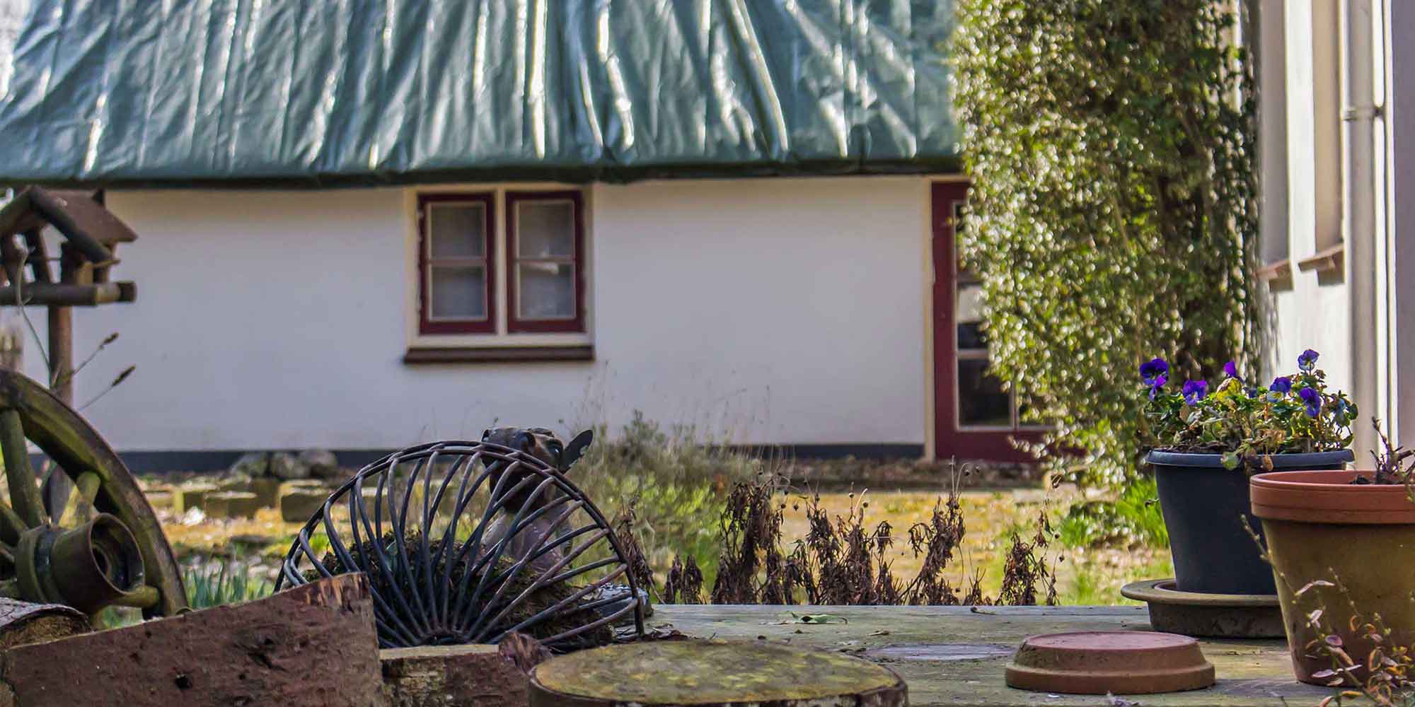 locatie healingspace